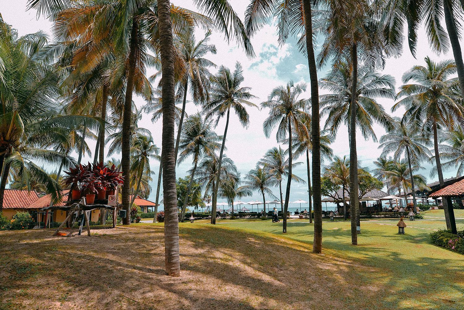 Seahorse Resort & Spa Mui Ne Zewnętrze zdjęcie